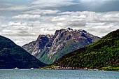 Norvegia, la regione dei fiordi, Il Sognefjord dal battello per Balestrand. 